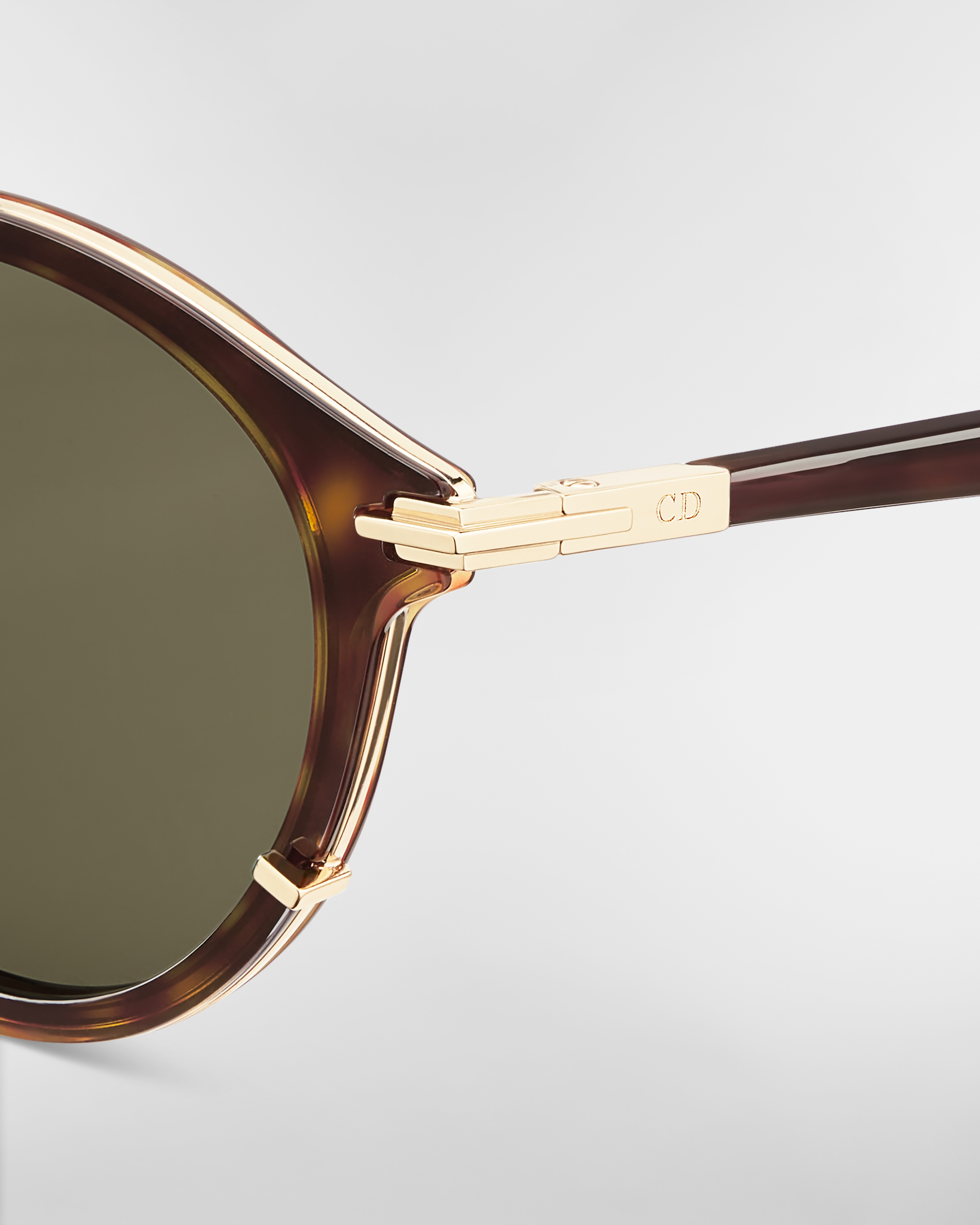 DiorBlackSuit R7U BioAcetate Brown Tortoiseshell-Effect Pantos Sunglasses E09