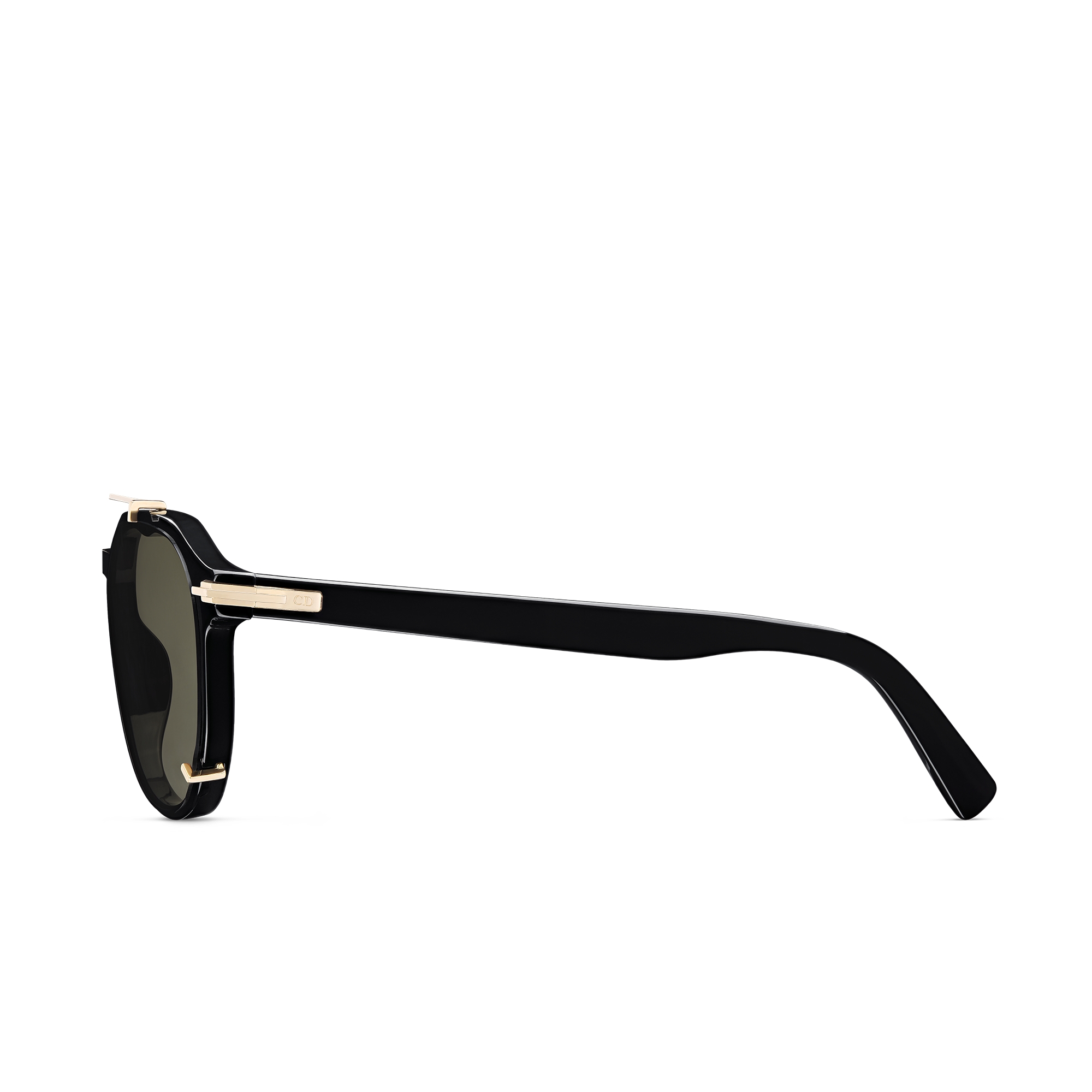 DiorBlackSuit RI Occhiali da sole Pantos neri E02