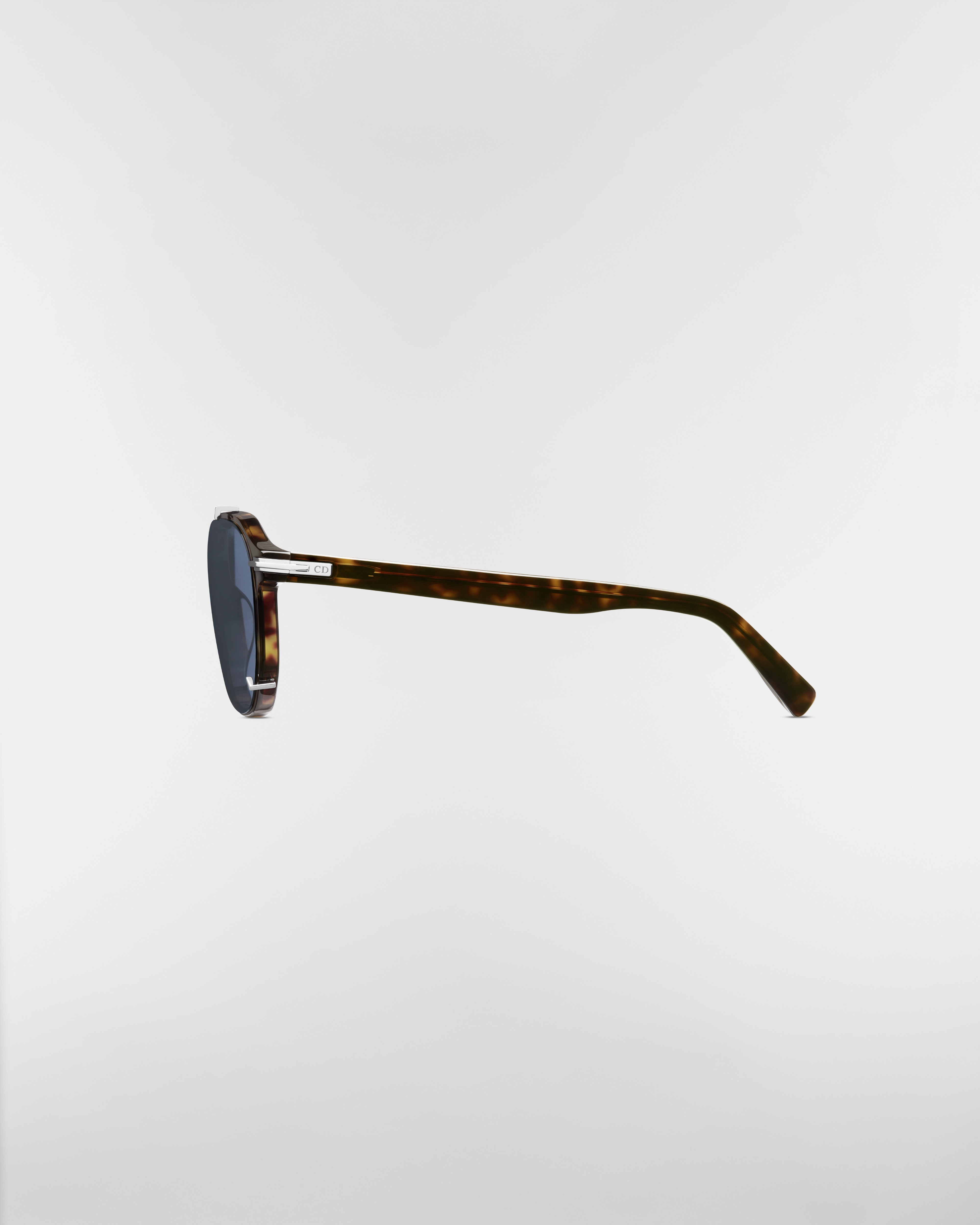 DiorBlackSuit RI Brown Tortoiseshell-Effect Pantos Sunglasses E02