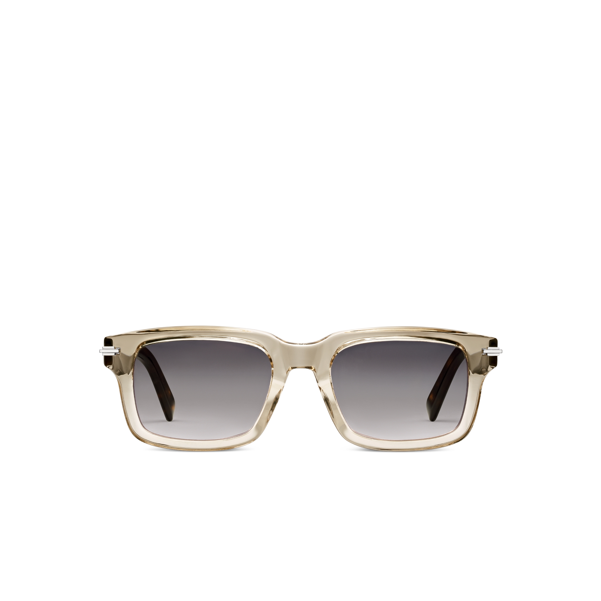 DiorBlackSuit S16I Transparent Beige Rectangular Sunglasses E01