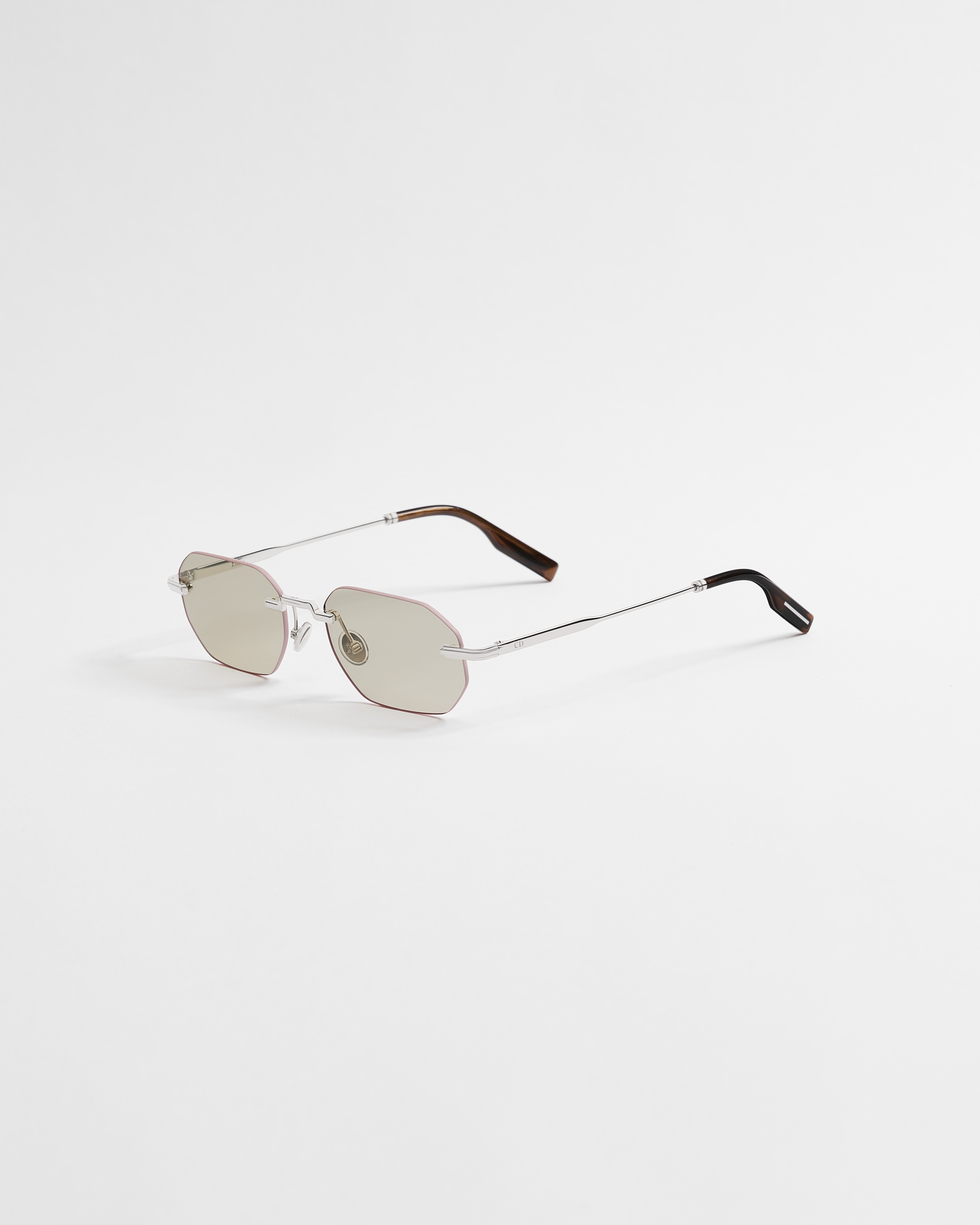 DiorBlackSuit S19U Gafas de sol octogonales beige E03