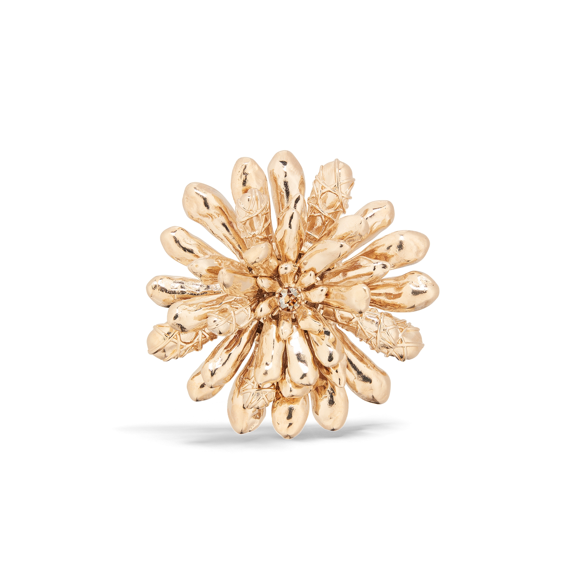 dior ネックレス　Nana Alice Da Luz in 'Rose des Vents' Dior Jewelry Lensed by Julia Noni