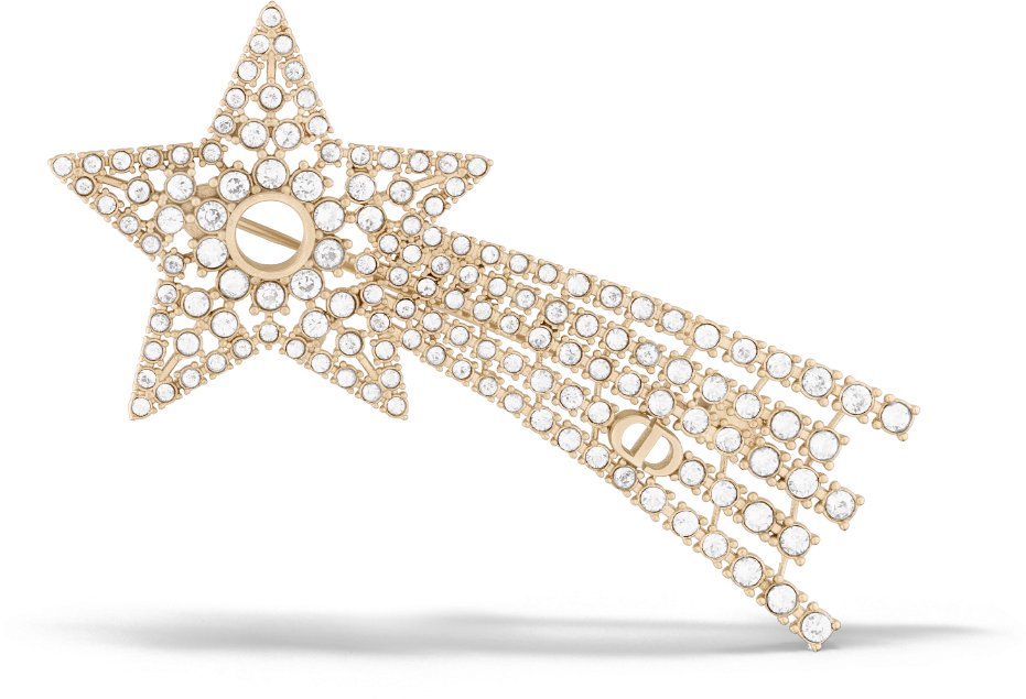 Dior Night Herbarium Brooch Matte Gold Finish Metal and Silver Tone Crystals DIOR