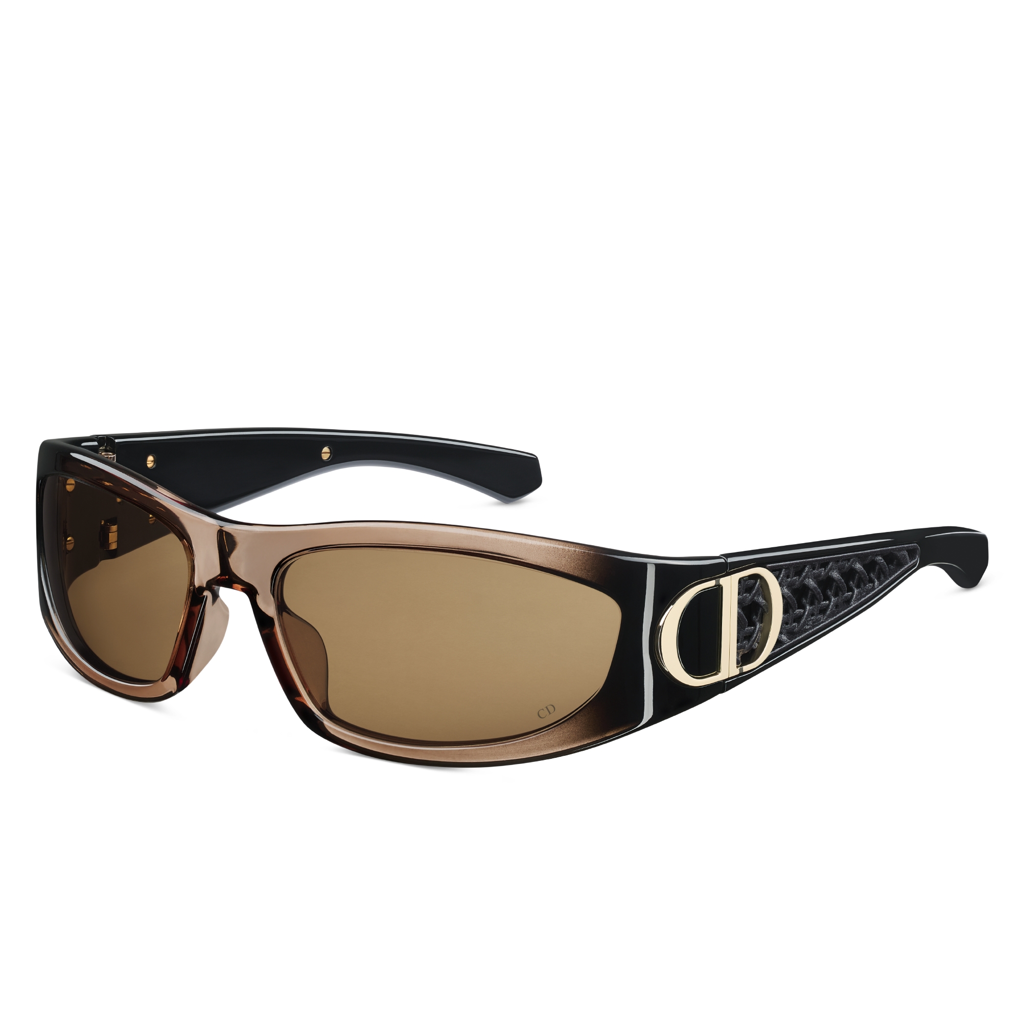 VeryDior S3I Transparent Brown Rectangular Sunglasses | DIOR
