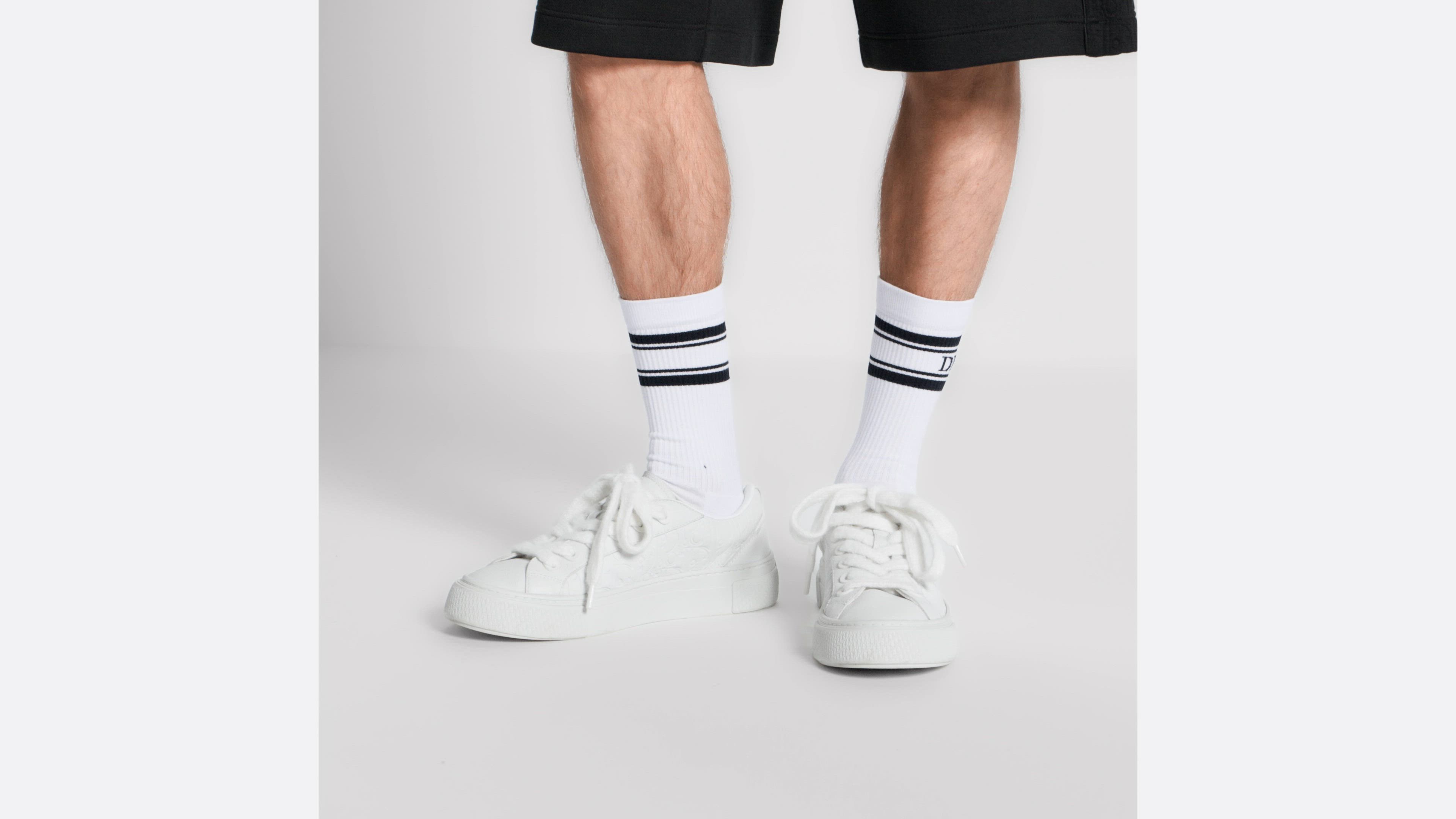 B33 Spin Sneaker White Grained Calfskin and White Dior Gravity