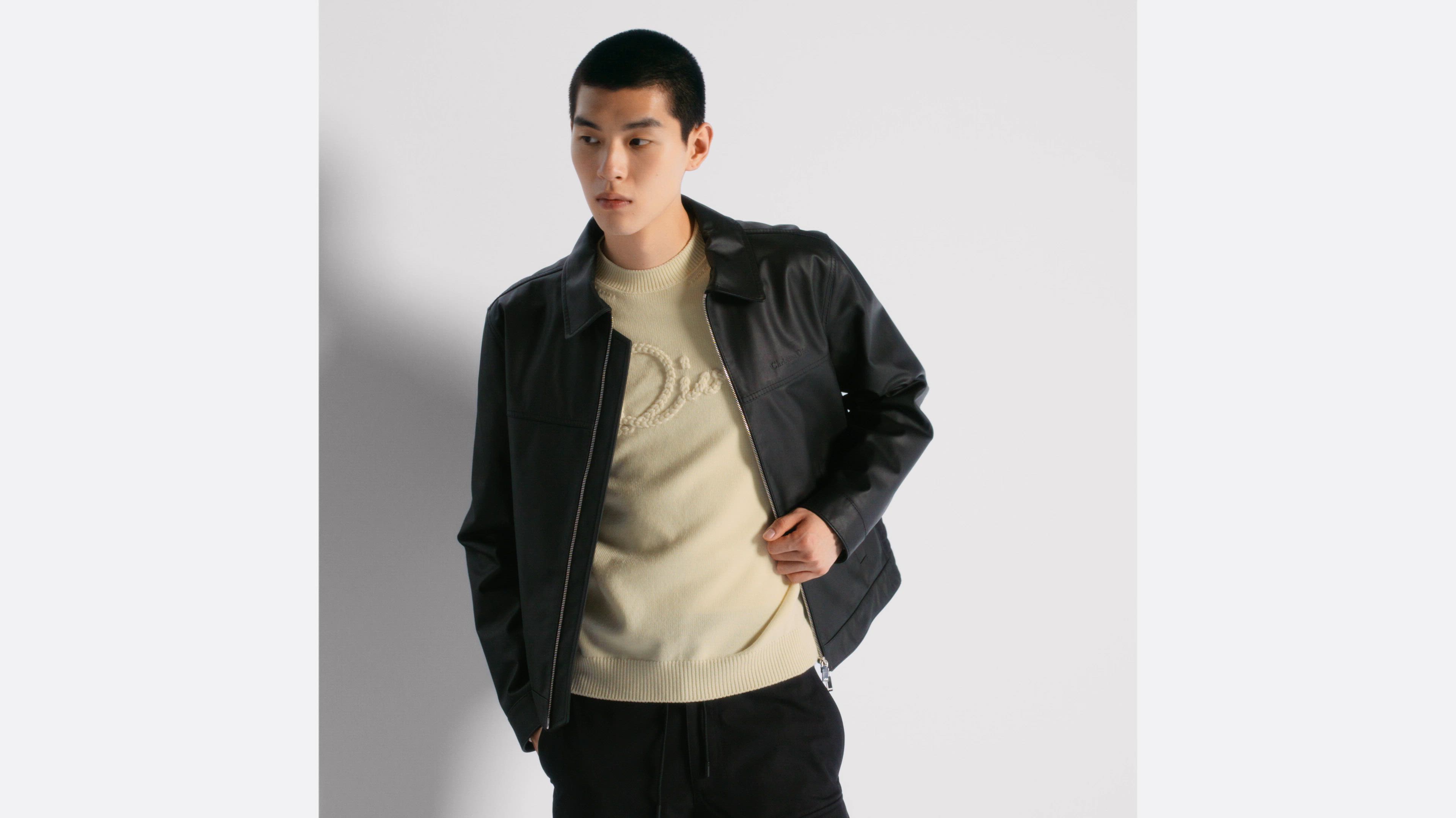 Cannage Blouson Jacket Black Calfskin | DIOR